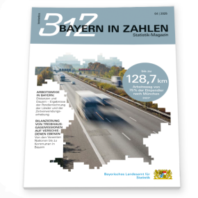 123 2025 02 Z Biz Logo